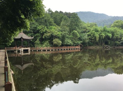 峨眉山红珠山宾馆禅意山居