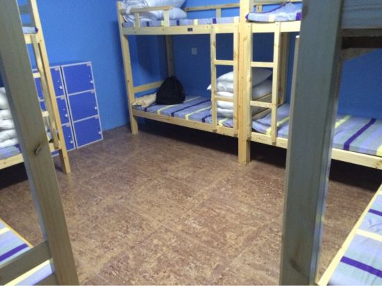 上海上海彩虹屋国际青年旅舍怎么样, 好不好, 服务怎么样【携程客栈】