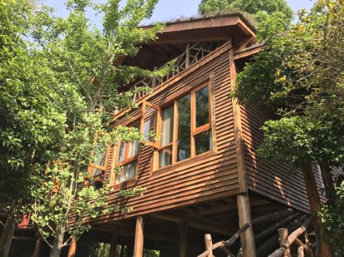 莫干山树野villa怎么样好不好服务点评【携程酒店】