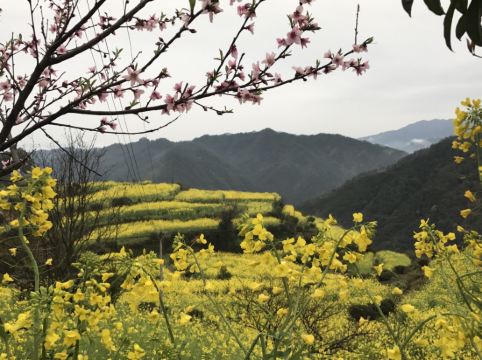 婺源査平坦余庆堂度假宅院