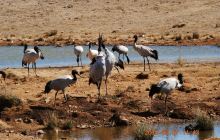 没有身份证,用户口本可以住旅馆吗?