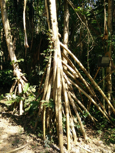 彩云之南的二次旅程