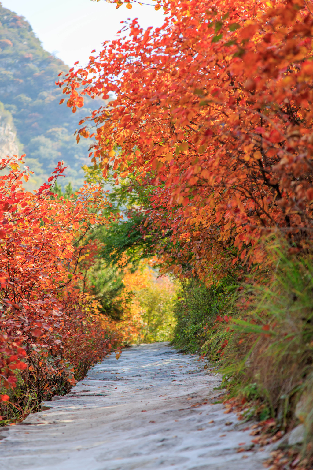 陽泉市平定縣岔口鄉主鋪掌村紅巖嶺自然風景區玉皇洞半日遊