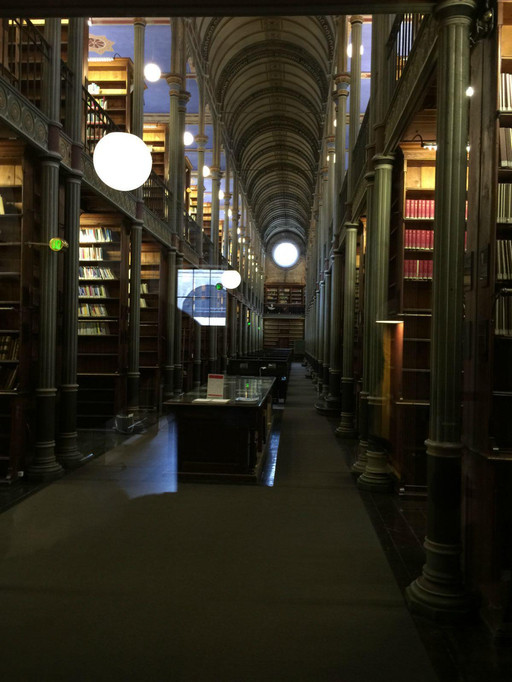 1728年,哥本哈根发生持续4天的大火,使哥本哈根大学图书馆毁于一旦,近